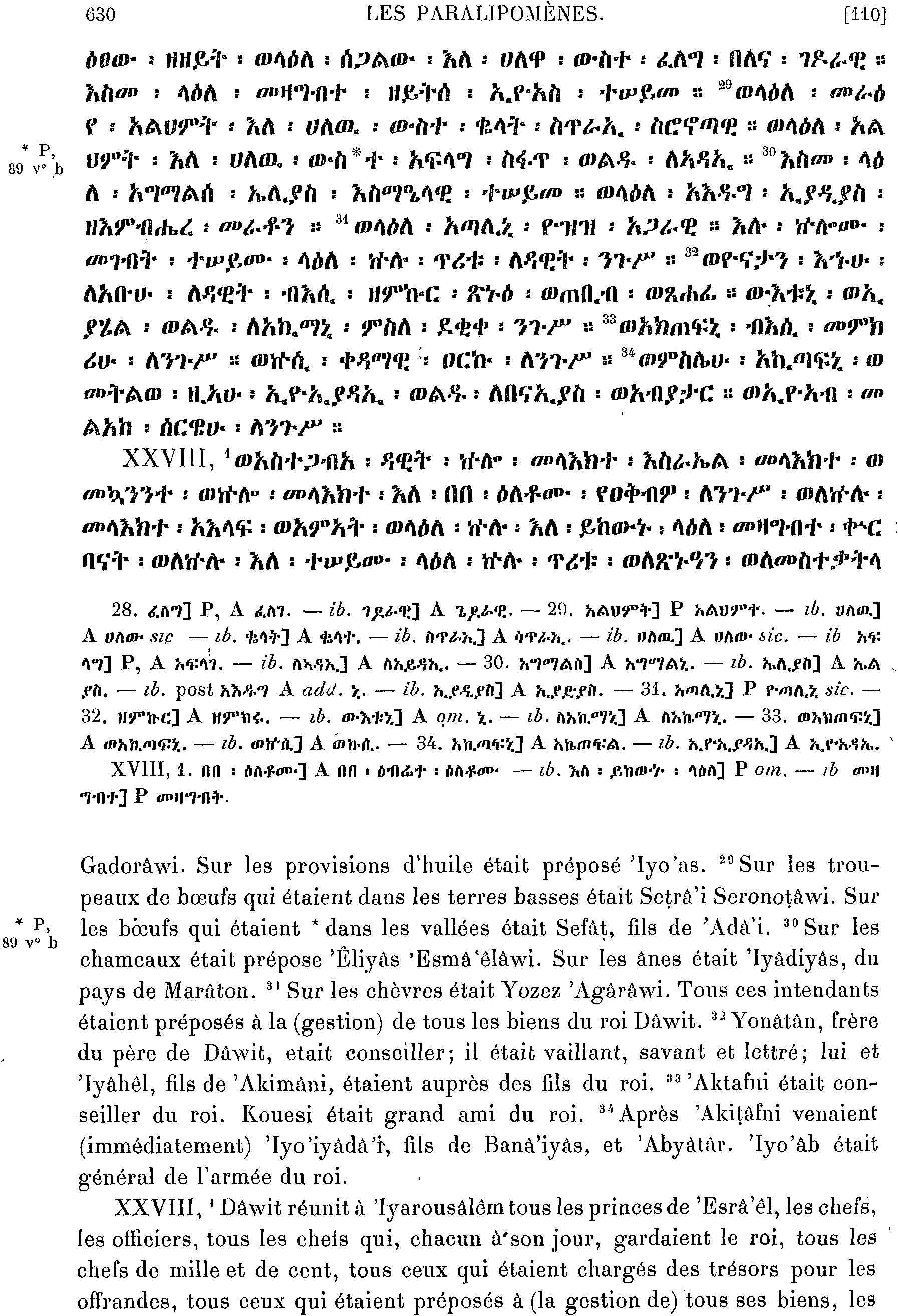 ሕጹጻነ ነገሥት ፩ 28